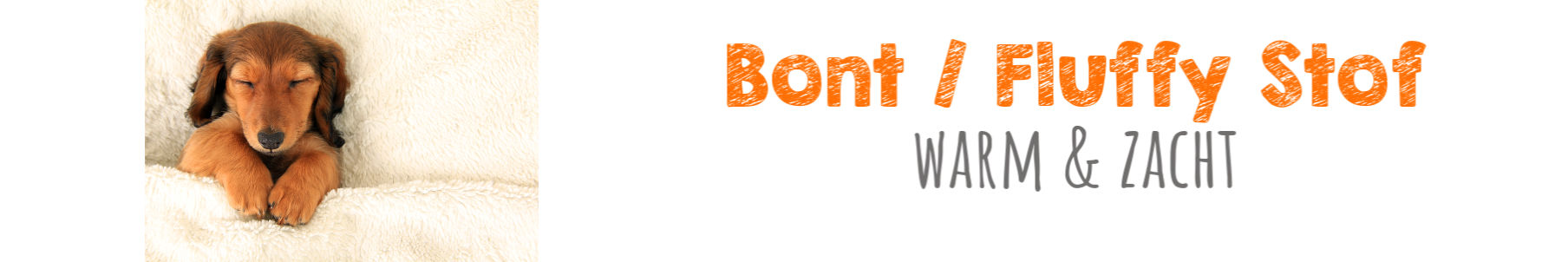 bont banner