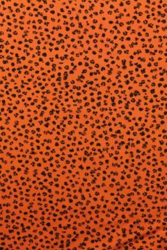 Animal Spots on Rusty