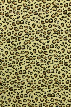 Beige Panter