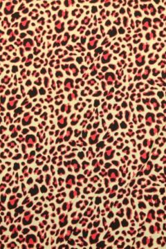 Candy Leopard
