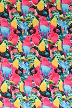 Lycra - Tropical Birds