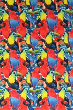 Lycra - Tropical Birds Red 