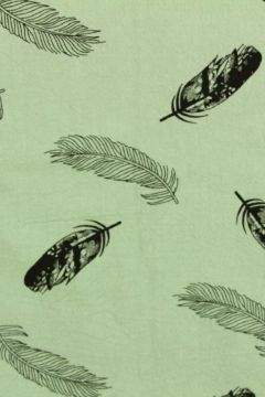 Feathers on Vintage Green