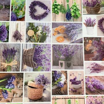 Tafelzeil - Lots of Lavender