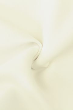 Scuba Texture - Off White