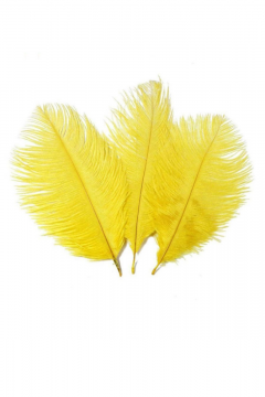 gekleurde veer fuchsia 30cm