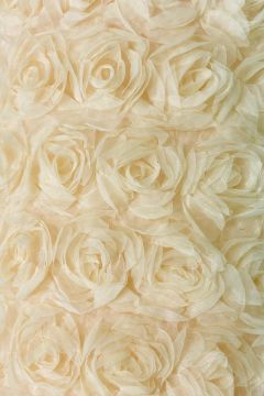 Mesh - Bridal Roses - Warm Champagne