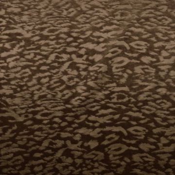 Lycra Velours - Leopard - Taupe