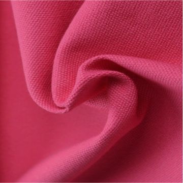 Canvas Fuchsia