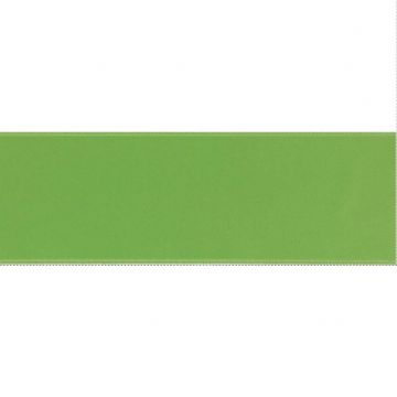 Luxe Satijn Lint 10mm-813 - Spring Green