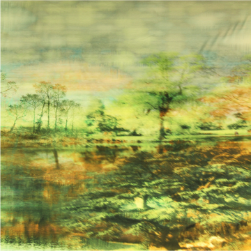Katoenen Tricot Paneel - Mistic Forest 
