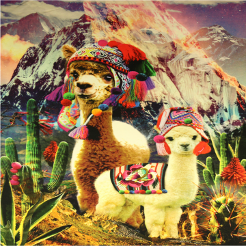 Katoenen Tricot Paneel - Fun with the Alpaca's!