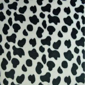 Dalmatian