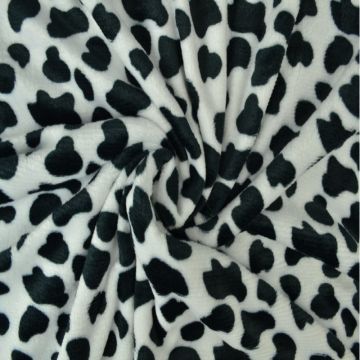 Dalmatian