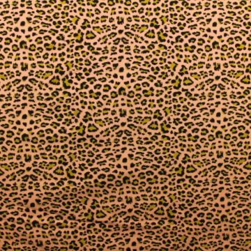 leopard on old pink