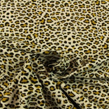 leopard on soft grey