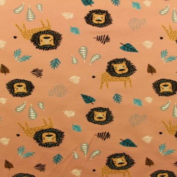 Lions on Old Pink
