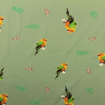Parrots on Vintage Mint