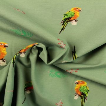 Parrots on Vintage Mint