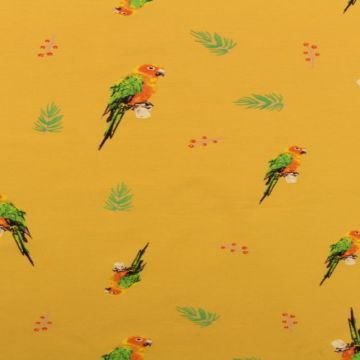 Parrots on Ocher