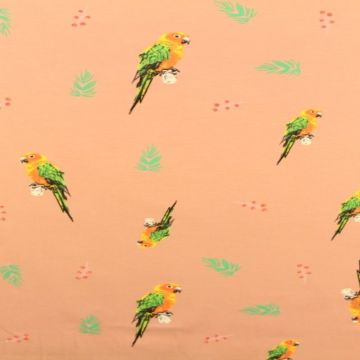 Parrots on Old Pink