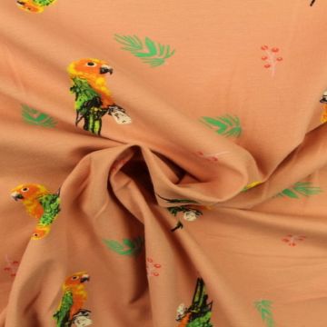 Parrots on Old Pink