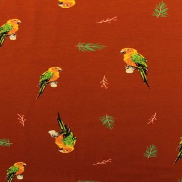 Parrots on Rusty