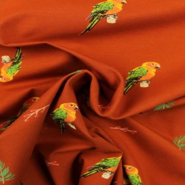 Parrots on Rusty