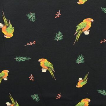 Parrots on Navy