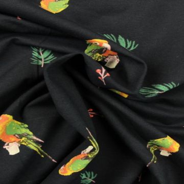 Parrots on Navy