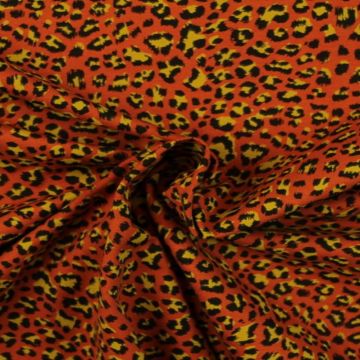 Leopard on Rusty