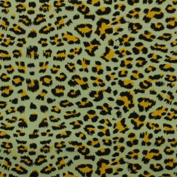 Leopard on Vintage Mint