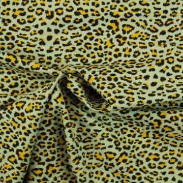 Leopard on Vintage Mint