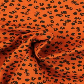 Animal Spots on Rusty