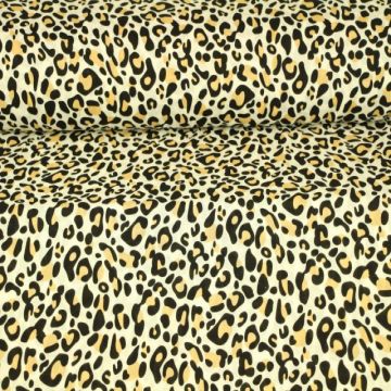 Sandy Leopard