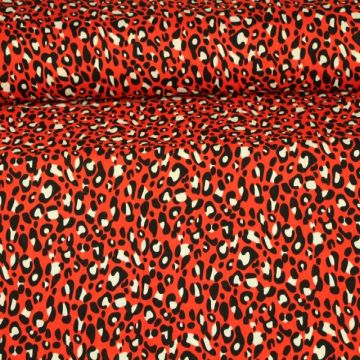 Cerise Leopard