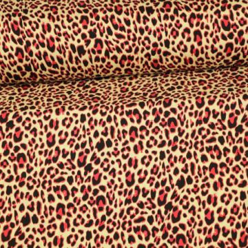 Candy Leopard