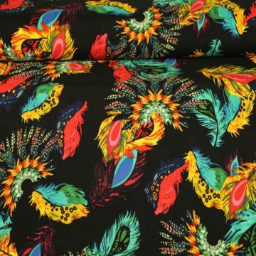 Indian Feathers on Black