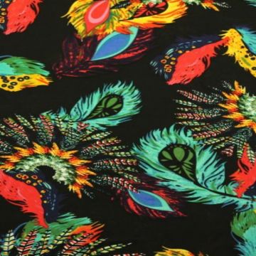 Indian Feathers on Black