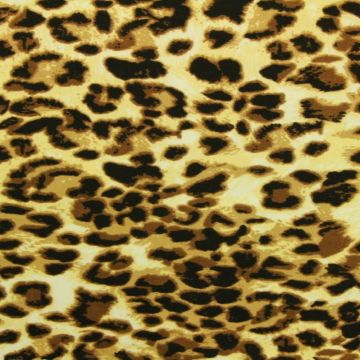 Brown Leopard