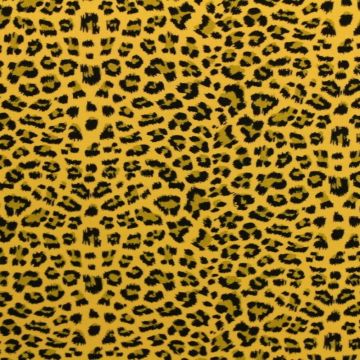 Leopard on Ocher