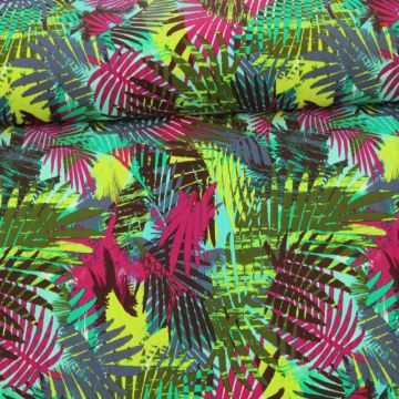 Lycra - Under the palm leaves