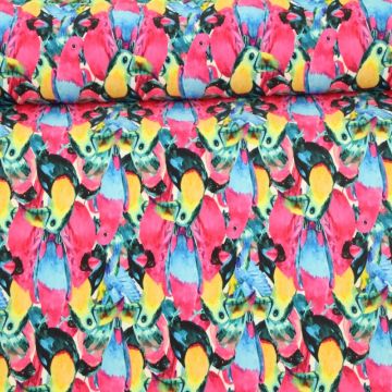 Lycra - Tropical Birds