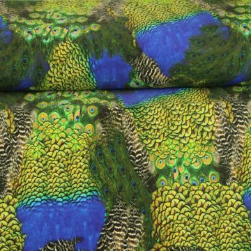 Lycra - Peacock and his Feathers Dark