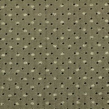 Lace - Black and Silver Dots