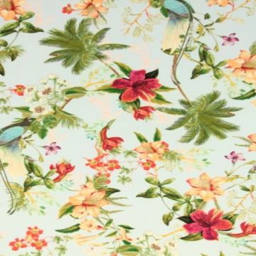 Lycra - The Hidden Paradise Bird
