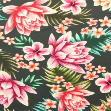 Lycra - It's the Tropics