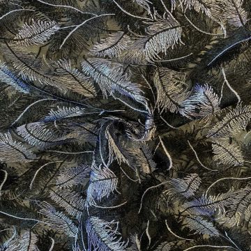 Mesh - Embroidery Feathers - Black/White