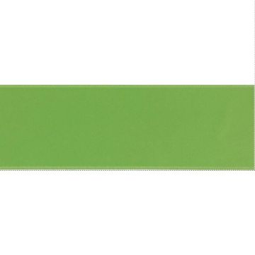 Luxe Satijn Lint 10mm-813 - Spring Green